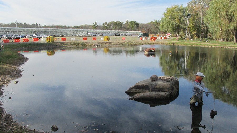 Secor Farms, NY - Secor Farms - All You SHOULD Know Before Going 2026 (with Reviews)