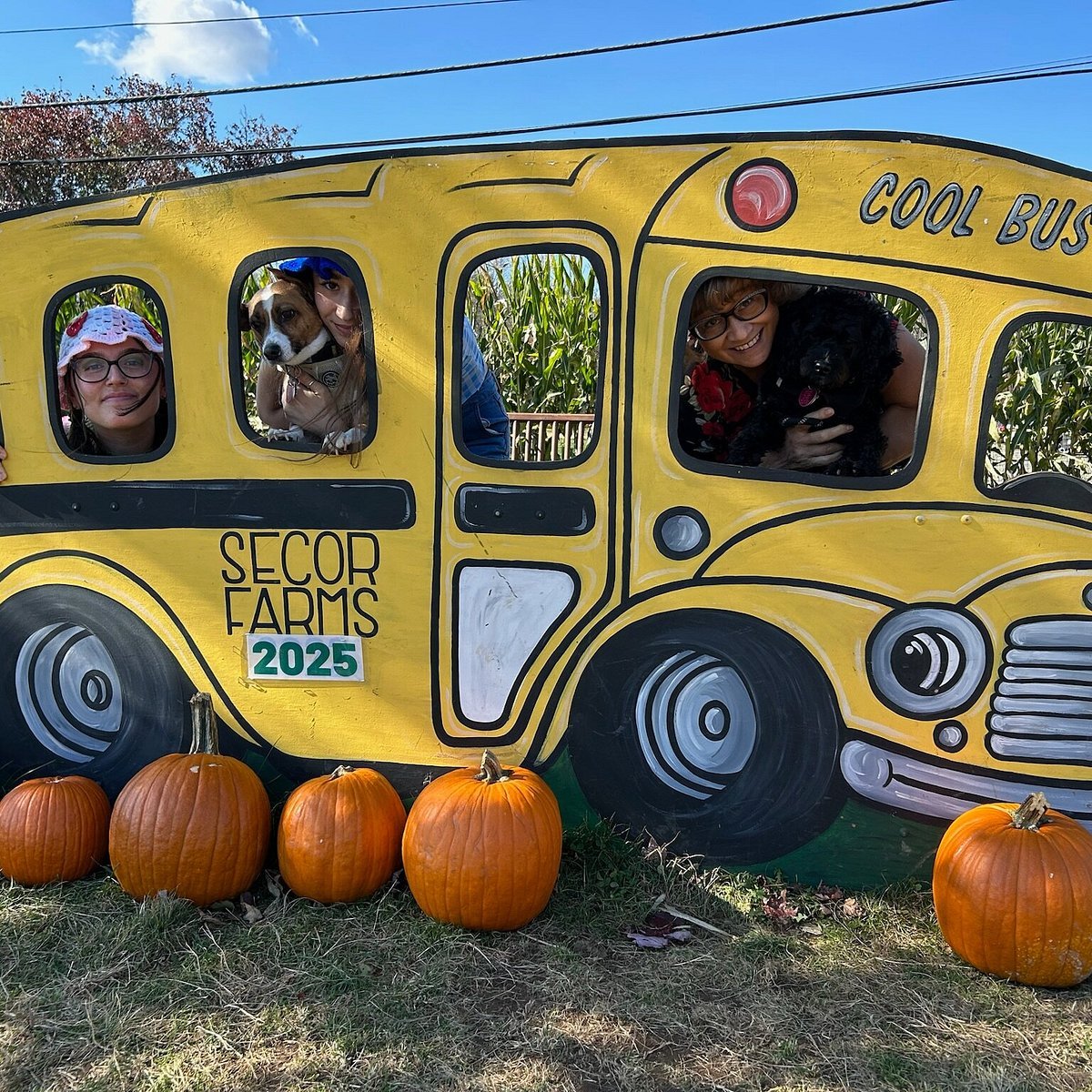 Secor Farms, NY - Secor Farms - All You SHOULD Know Before Going 2026 (with Reviews)